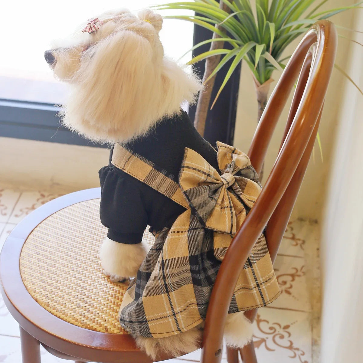 RetroCheck Pet Dress